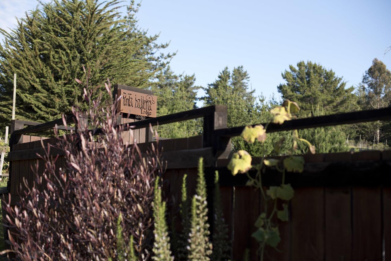 Punta Ballena Lodge Pichilemu Exterior photo